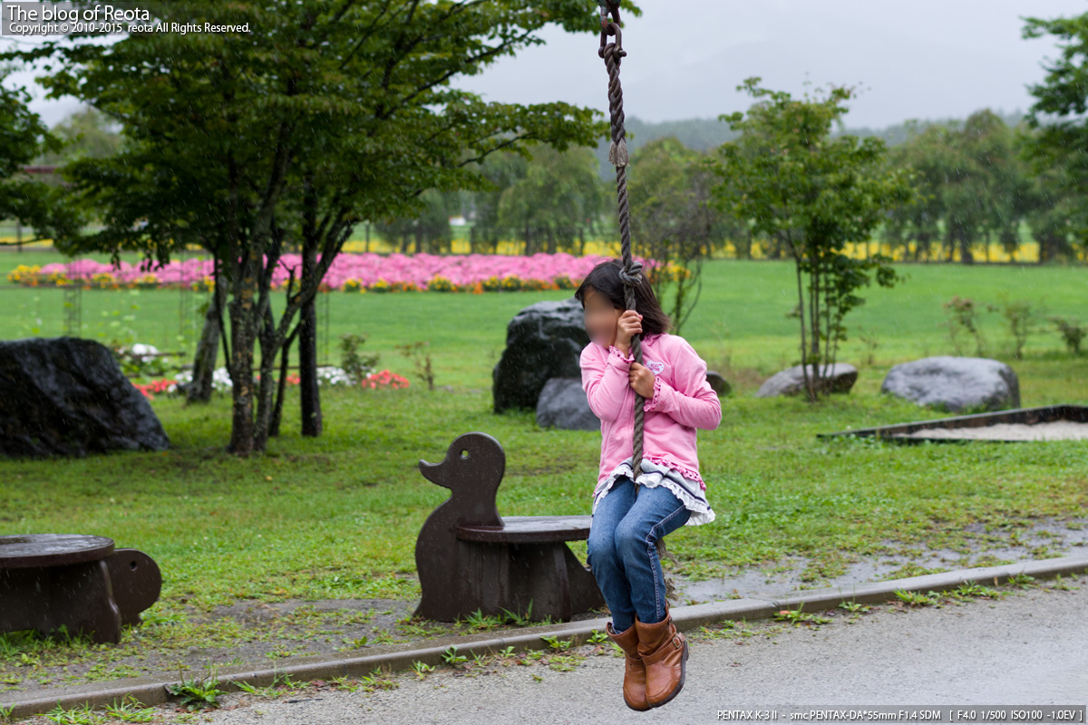 山中湖 花の都公園 Reota